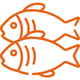 comer-PT Fish peixe-durante-a-gravidez
